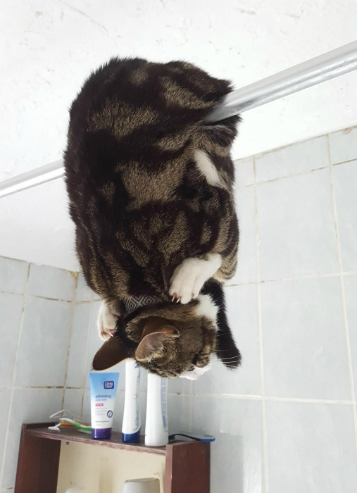 Если у вас есть совесть, значит, наверняка нет денег!