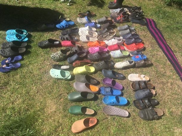 Лиса приходила в парк уносила с собой обувь отдыхающих. Через несколько месяцев работник парка за ней проследил Лиса приходила в парк уносила с собой обувь отдыхающих. Через несколько месяцев работник парка за ней проследил Культура