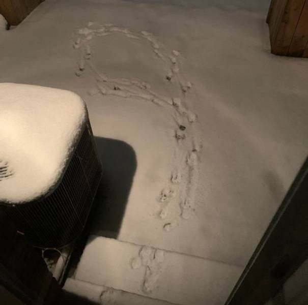 У них получилось, но не до конца У них получилось, но не до конца