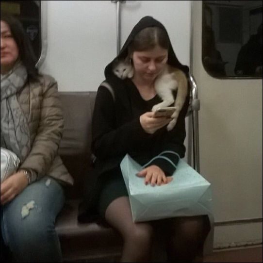 Позитив сплошь и рядом Позитив сплошь и рядом