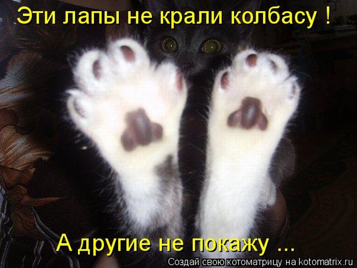 Мысли вслух :)