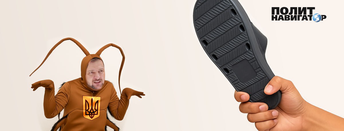 Северный Кавказ должен быть отторгнут от России. Об этом заявил вице-спикер Верховной рады Александр...