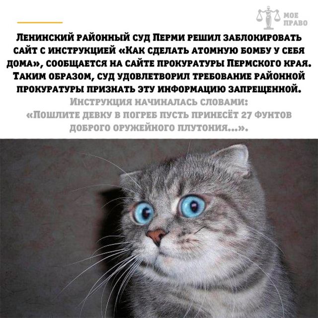 Знаете ли вы, что причиной любого развода является брак? анекдоты,демотиваторы,приколы,юмор