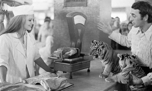 Дрессировщик Степан Денисов с тигрятами выбирает для них мясо на рынке. Москва, СССР. 1 октября 1974 года. известные, люди, фото