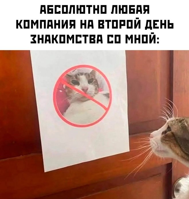 Хорошо погуляли — это когда хочется начать новую жизнь. В новом городе, под новым именем.... 