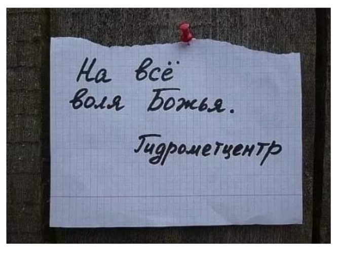 Отец охотник все-таки убил медведя. Мясо он оставил себе, шкуру подарил жене... девушка, человек, Василий, дальше, женой, которая, девушкой, спрашивает, свадьбы, сидел, Иванович, думал, пожалуйста, Молодой, сидит, ресторане, Поехал, путевке, тихо—мечтательно, Японию