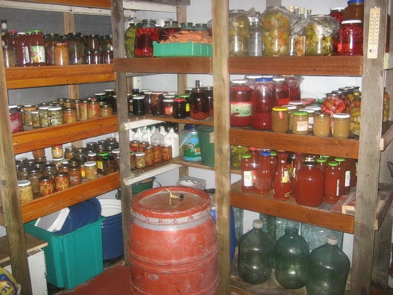 Готовим дачу к зиме: 8 важных дел, о которых вы могли забыть советы