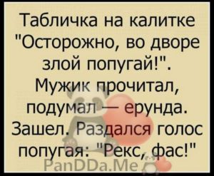 Свеженькая порция из 15 хороших и добрых историй от обычных пользователей 