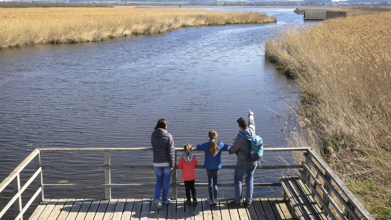 Экс-депутат ГД Вострецов: России необходимо создать министерство внутреннего туризма Экс-депутат ГД Вострецов: России необходимо создать министерство внутреннего туризма Общество
