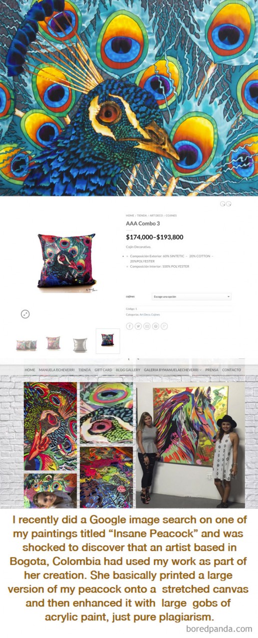 Artist Finds Out That Her Artwork Is Used By Another Artist And Even Sold As Pillows