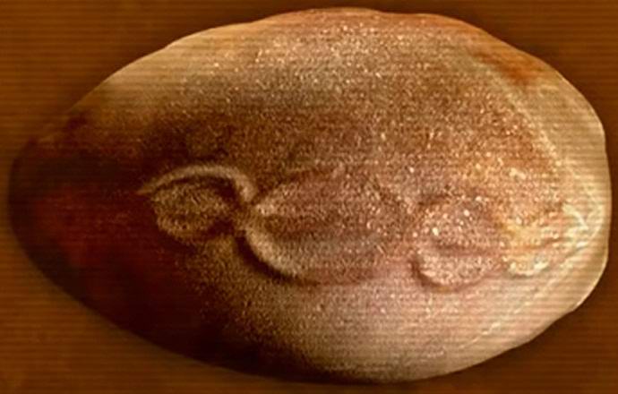 Найдено древнее «инопланетное яйцо» с изображением спирали ДНК