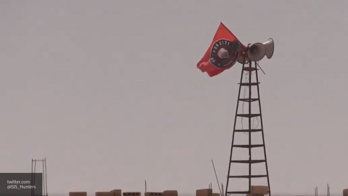 Зачистка «Акербатского кота»: «Охотники на ИГИЛ» приближают наступление на Дейр эз-Зор