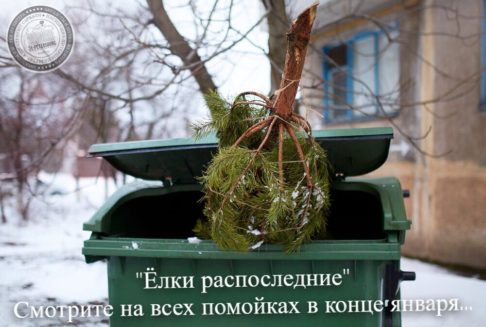 Елки