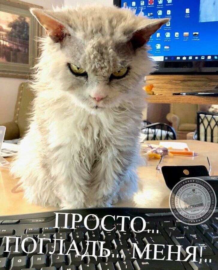 Погладь