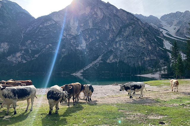 Хайкинг, йога и вино: Эмилия Кларк отдыхает с друзьями в Италии Хайкинг, йога и вино: Эмилия Кларк отдыхает с друзьями в Италии Новости