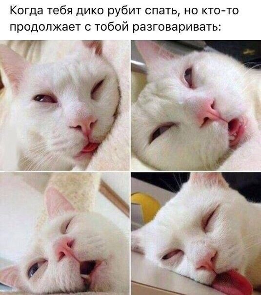 Подборка картинок. Вечерний выпуск (72 фото)