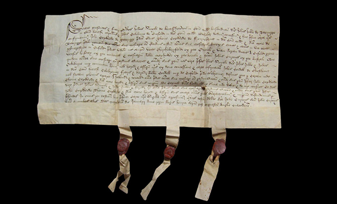 Как в Средневековье боролись с поддельными документами с помощью бумаги из овечьих шкур Культура