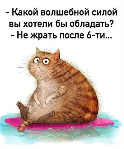 Задорные шутки с сарказмом 