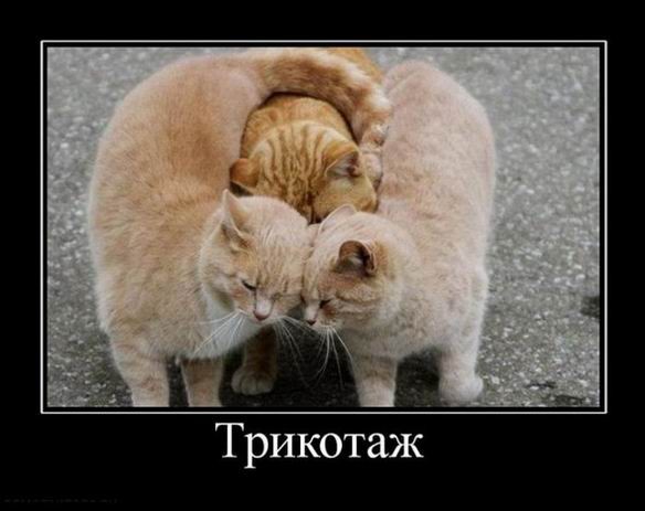 Демотиваторы свежие, прикольные: «Отвлекитесь от Интернета…» Демотиваторы свежие, прикольные: «Отвлекитесь от Интернета…»