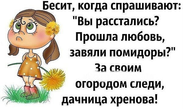 Надпись на заднем бампере: “Не биби, бибун!” анекдоты,демотиваторы,приколы,юмор