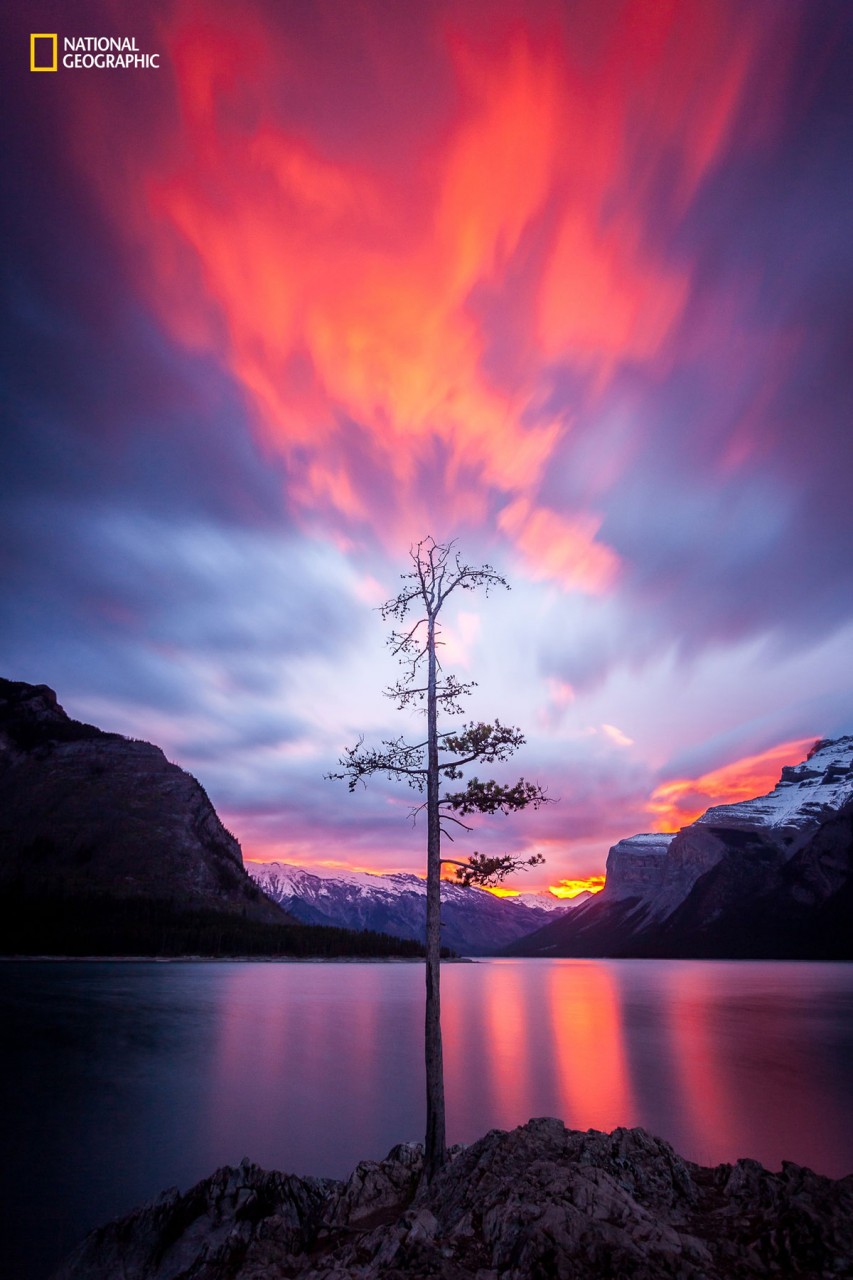 Самые интересные (по мнению читателей) фотографии, присланные на конкурс National Geographic 2016