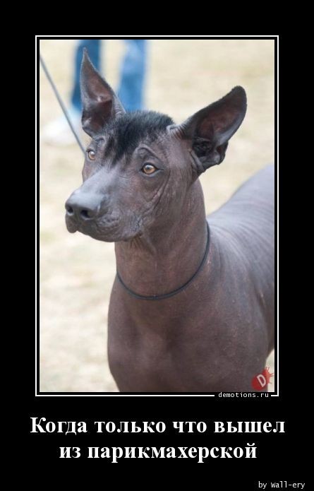 Демотиваторы свежие, прикольные: «Отвлекитесь от Интернета…» Демотиваторы свежие, прикольные: «Отвлекитесь от Интернета…»