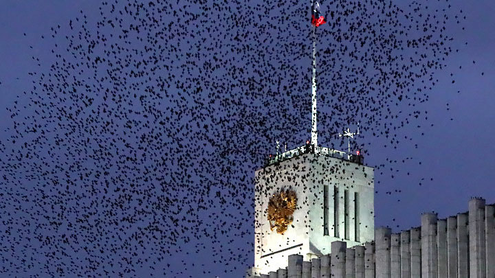 "Цинизм и безразличие к Отечеству": Матвиенко жёстко разнесла олигархов