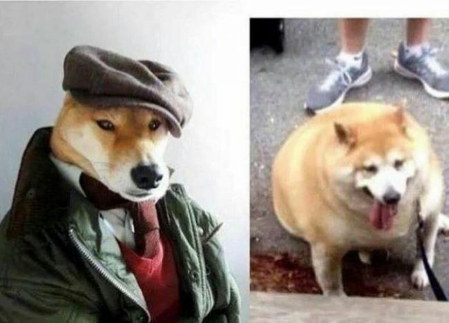 Фото профиля vs реальность