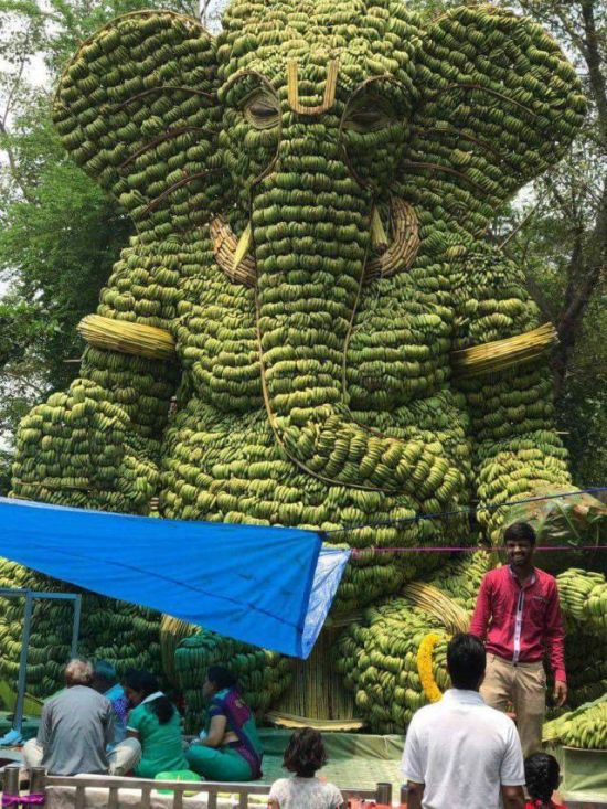 Забавные картинки и фотографии для улыбки (11 фото)