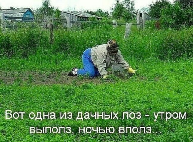 - Давайте завтра встретимся с вами в это же время?  - Давайте, а где?.. 