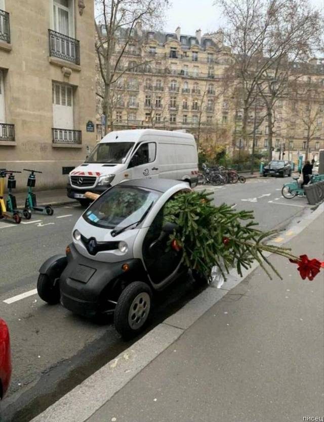 Праздник к нам приходит, праздник к нам приходит... позитив,смешные картинки,юмор