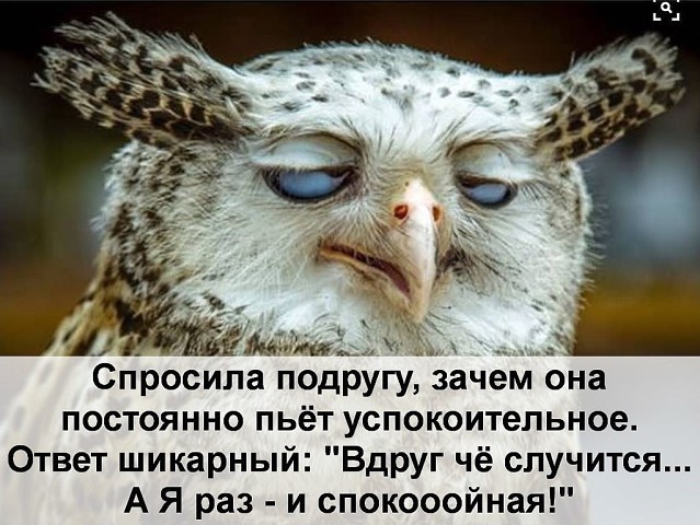 Лето, жара, безветрие. На берегу 4-й час сидит мужик и смотрит на неподвижный поплавок… Юмор,картинки приколы,приколы,приколы 2019,приколы про