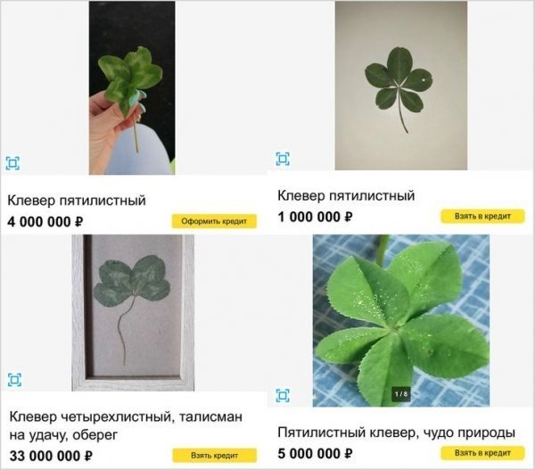 Смешные объявления из Интернета Смешные объявления из Интернета позитив,смешные картинки,юмор