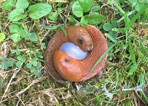 16 раз, когда коллективный разум помог людям понять, что же они нашли 16 раз, когда коллективный разум помог людям понять, что же они нашли