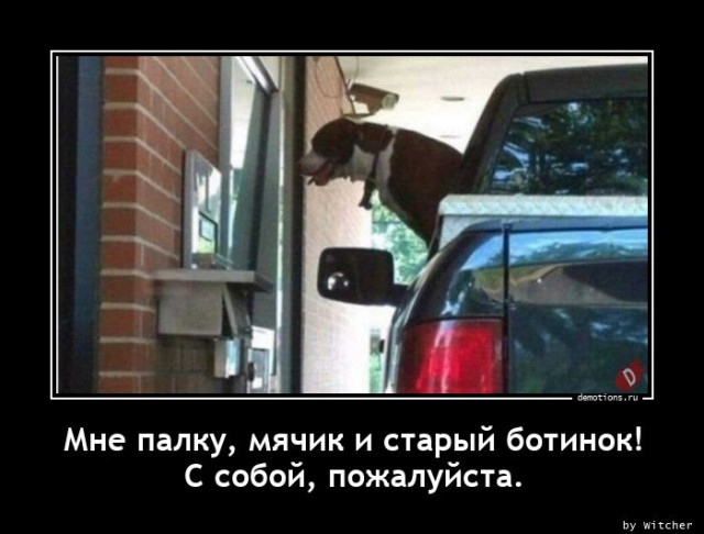 Демотиваторы свежие, прикольные: «Отвлекитесь от Интернета…» Демотиваторы свежие, прикольные: «Отвлекитесь от Интернета…»