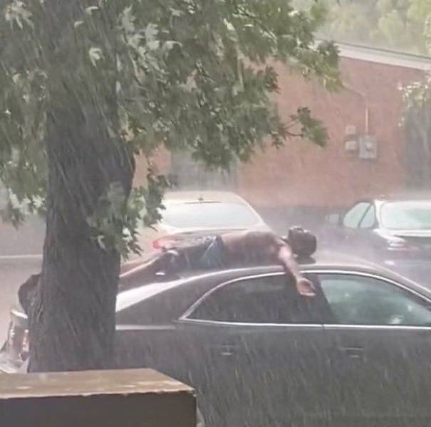 Подборка смешных картинок Подборка смешных картинок смешные картинки,фото-приколы,юмор