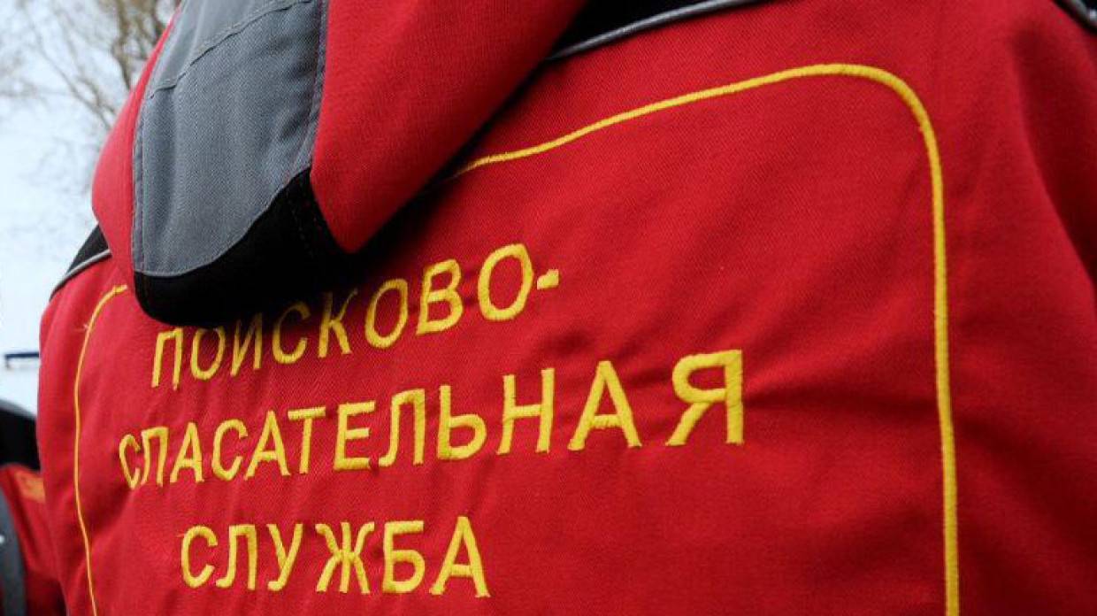 Волонтеры больше десяти дней ищут пропавшего на охоте с отцом ребенка в Ленобласти