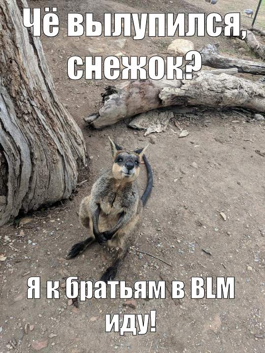 Смешные эксклюзивные картинки Смешные эксклюзивные картинки картинки,прикол,юмор