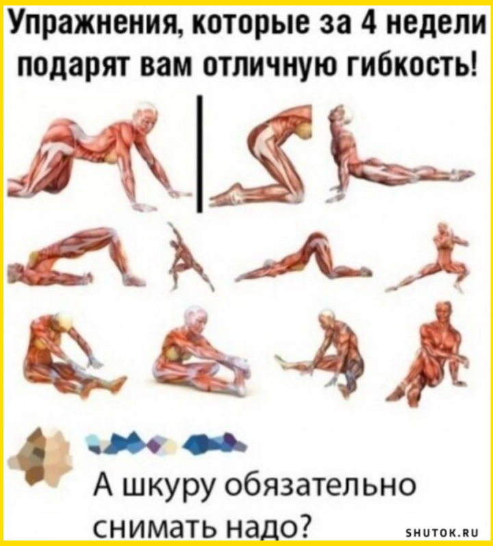 Утренний юморок на четверг Утренний юморок на четверг