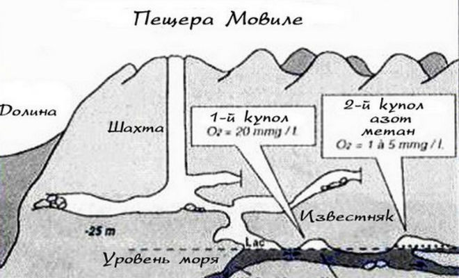 Пещера была запечатана от мира 500 тысяч лет: внутри ученые нашли организмы, которым не нужен свет и кислород Культура