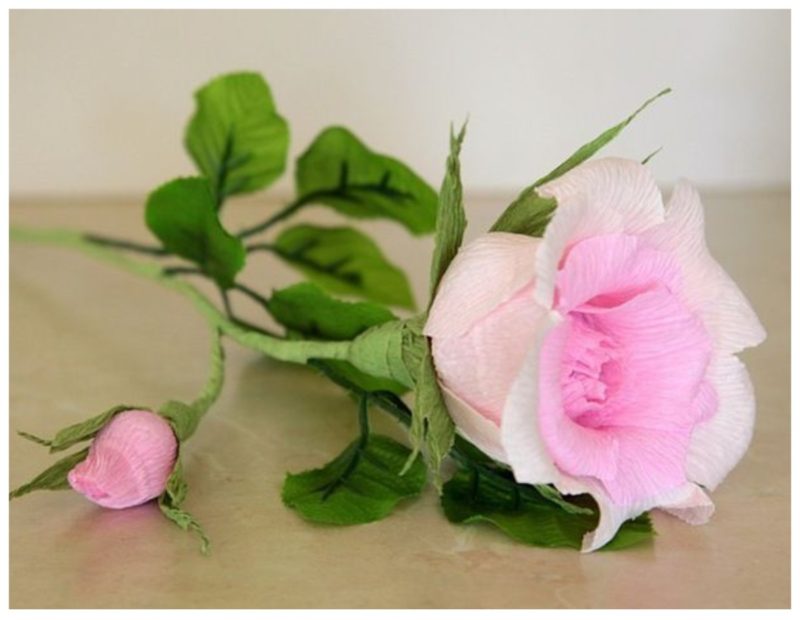10 самых красивых Зеленых Роз можно, выглядят, прекрасно, зеленые, выращивать, использовать, украшения, оттенок, зеленой, зеленый, имеет, могут, которые, символизирует, зеленая, зеленых, также, садах, зеленого, РоузЭта