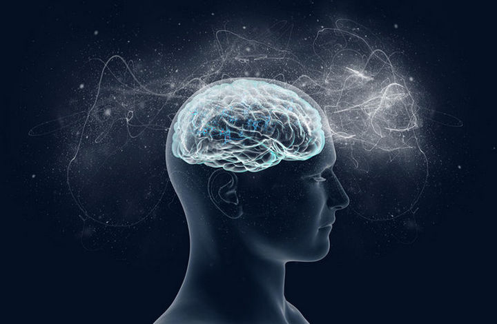  7 малоизвестных необычных фактов о мозге