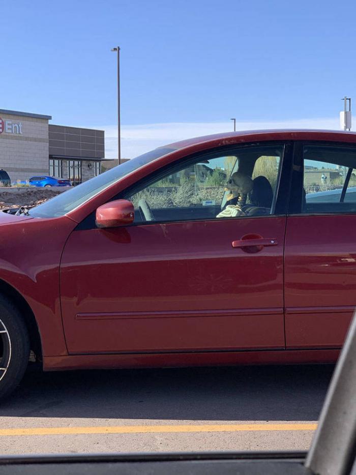 Веселые картинки и забавные фото с надписью из нашей жизни Веселые картинки и забавные фото с надписью из нашей жизни картинки с надписями,приколы,смешные комментарии,юмор