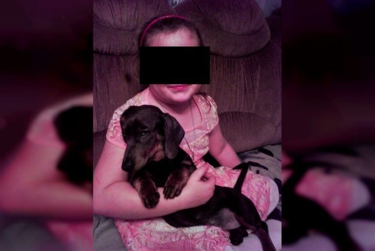 Овчарка загрызла таксу в Смоленске
