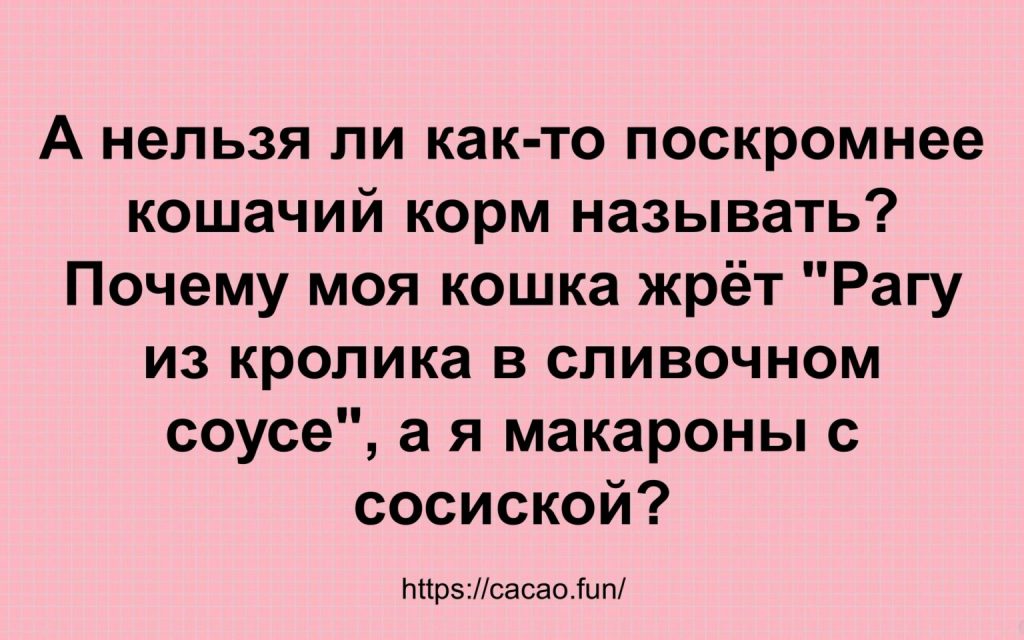 Подборка анекдотов от людей с хорошим чувством юмора Подборка анекдотов от людей с хорошим чувством юмора