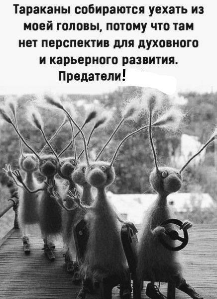 Юмор и сарказм: чудесное настроение для всех — гарантировано! Юмор и сарказм: чудесное настроение для всех — гарантировано!