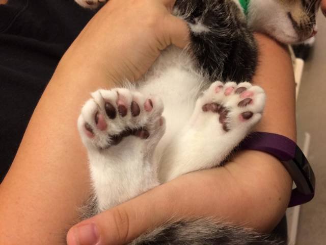 Фотоподборка четверга 