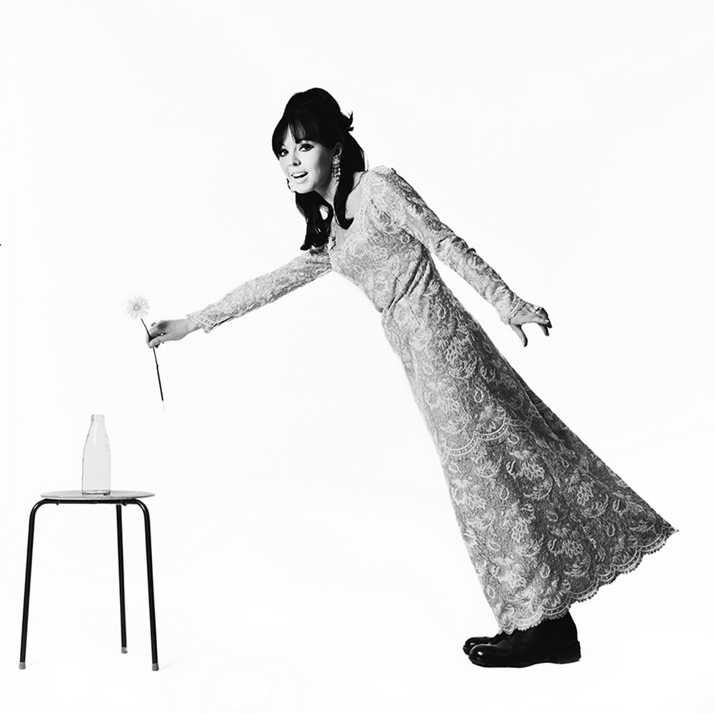 Птицы Британии 