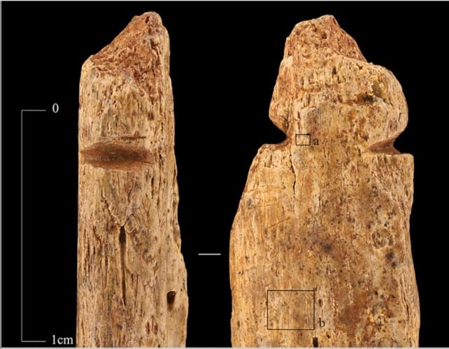 Mannermaa et al., J. Archaeol. Sci. Rep. 2022