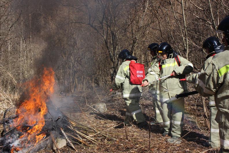 В Авиалесоохране сообщили, что за сутки в РФ потушили 62 лесных пожара
